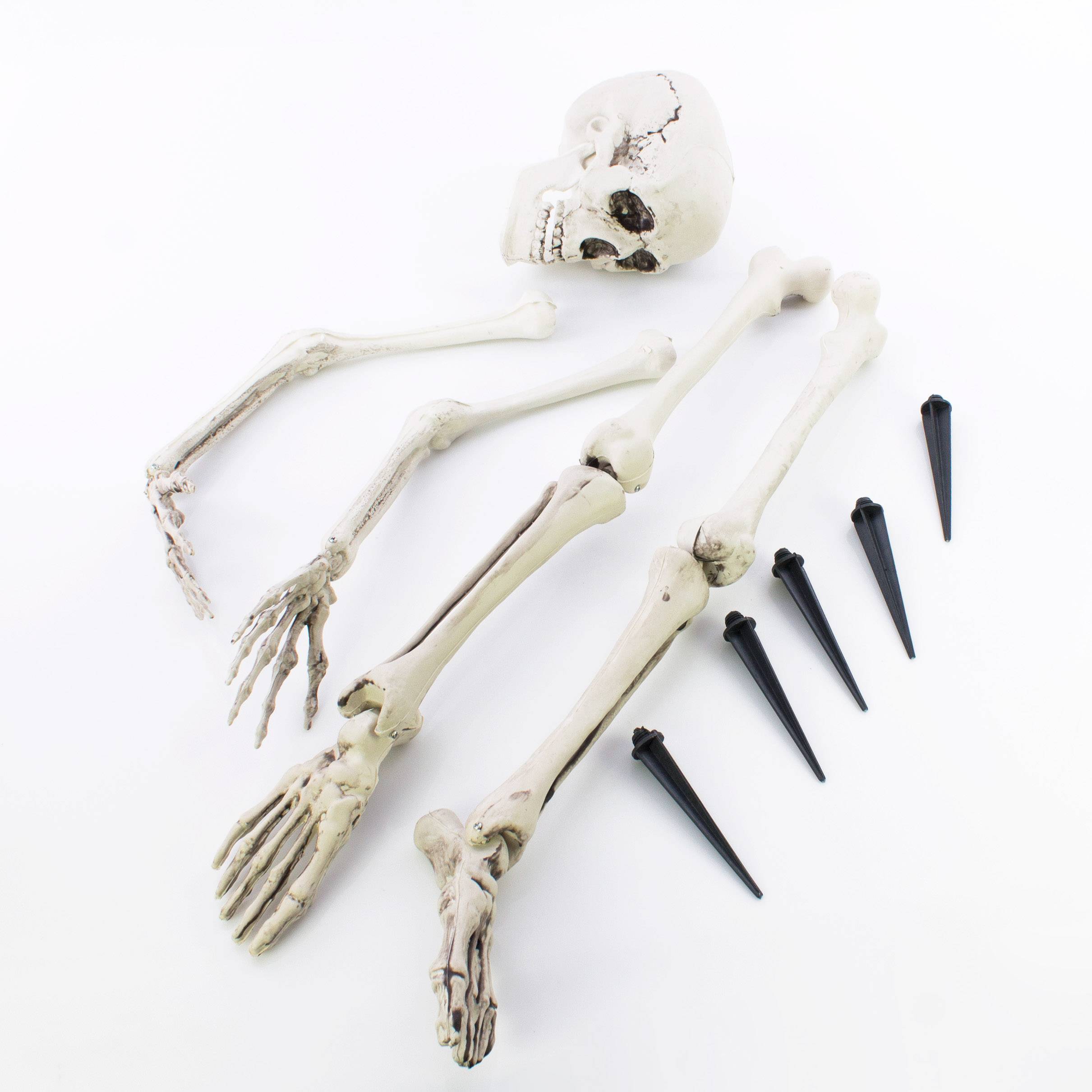 Halloween Skelett Teile ADALBERT mit 5 Erdspieße, 19cm, 45cm, 66cm