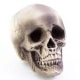 Halloween Totenkopf MATTY, beige-grau, LEDs, 21x15x16cm