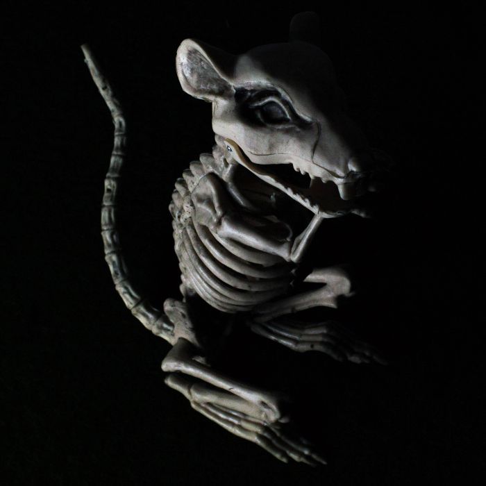 Halloween Skelett Ratte PUSCHEL, biegbar, 32x10x16cm