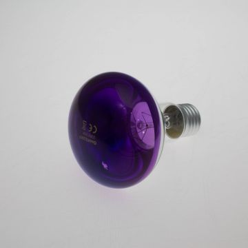 Farbige Lampe R80 230V / 60W zur Partybeleuchtung, Sockel E-27, violett