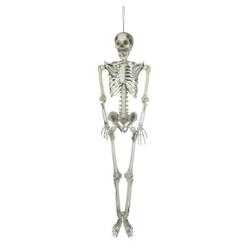 Halloween Skelett LAMBERT, hängend, 150cm