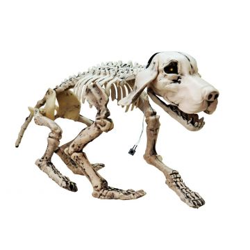 Halloween Skelett Hund BALTO mit Soundfunktion, LED, 71x25x40cm